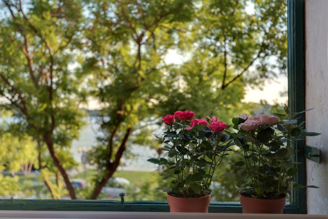 Apartment Oliveto Šibenik Exteriör bild